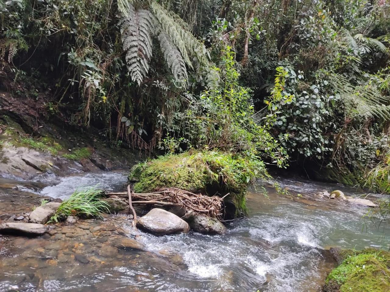La Serena Reserva Natural Concepcion Dış mekan fotoğraf