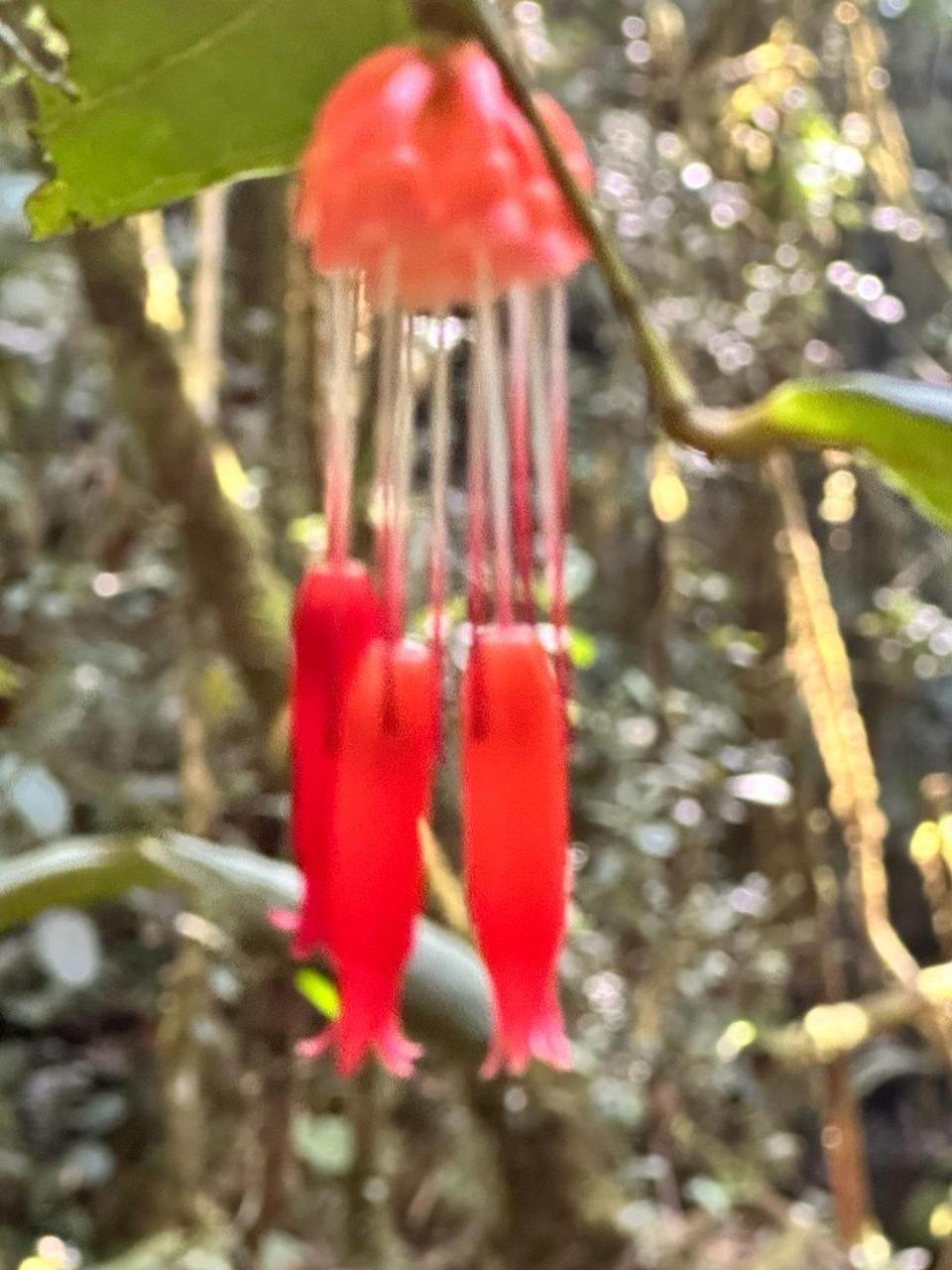 La Serena Reserva Natural Concepcion Dış mekan fotoğraf